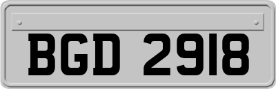 BGD2918