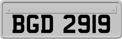 BGD2919