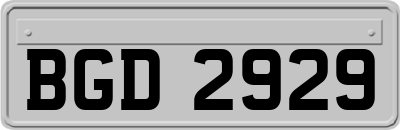 BGD2929