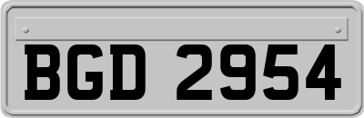 BGD2954