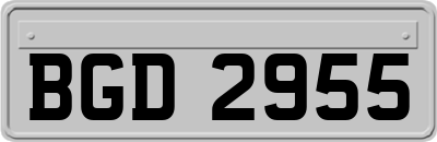 BGD2955