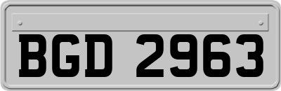 BGD2963