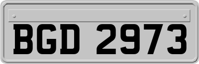 BGD2973