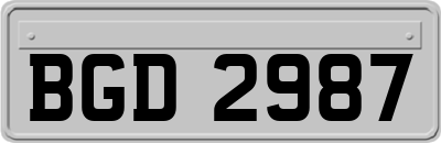 BGD2987