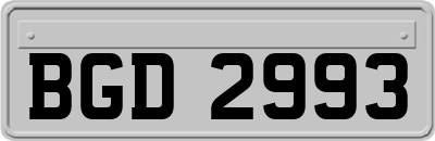 BGD2993