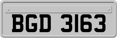 BGD3163