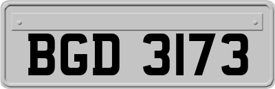 BGD3173
