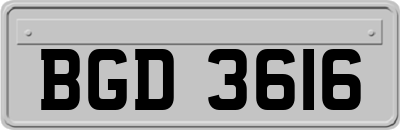 BGD3616