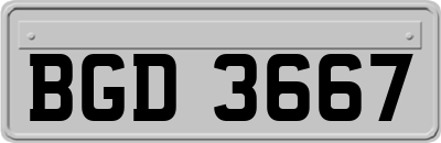 BGD3667