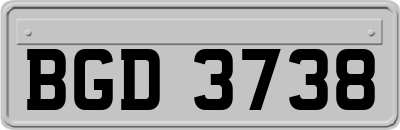 BGD3738