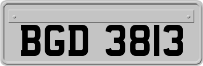 BGD3813