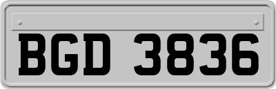 BGD3836