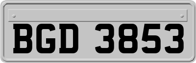 BGD3853