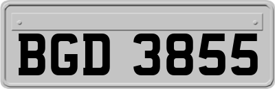 BGD3855