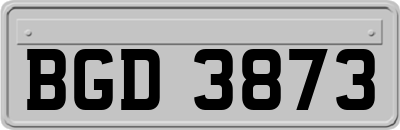 BGD3873