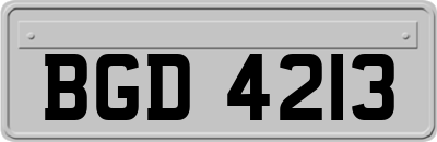 BGD4213
