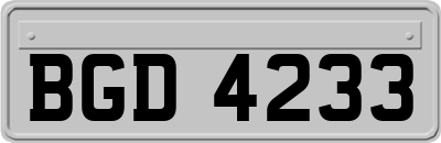 BGD4233