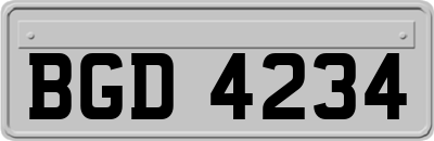 BGD4234