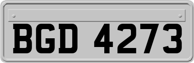 BGD4273