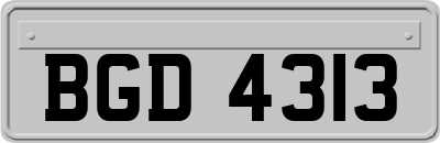 BGD4313