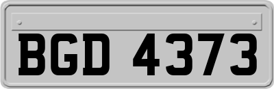 BGD4373
