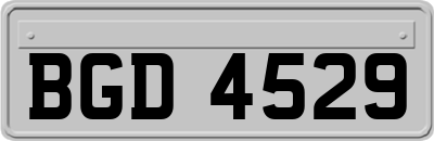 BGD4529