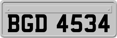BGD4534