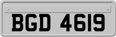 BGD4619