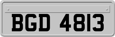 BGD4813