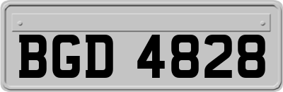 BGD4828