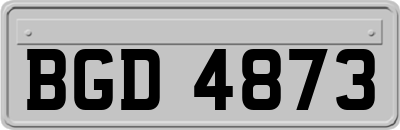 BGD4873