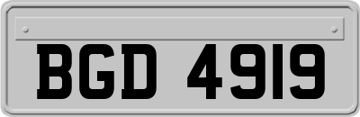 BGD4919