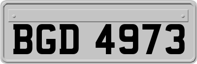 BGD4973
