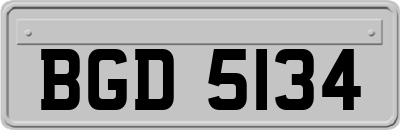 BGD5134
