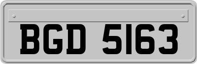 BGD5163