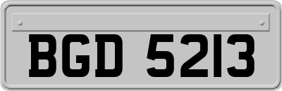 BGD5213