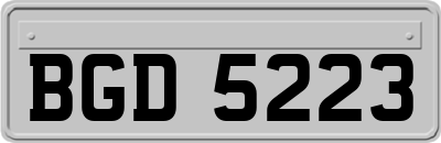 BGD5223