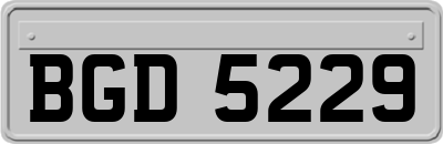 BGD5229