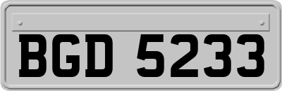 BGD5233