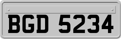 BGD5234