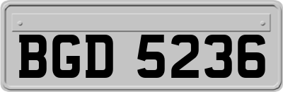 BGD5236