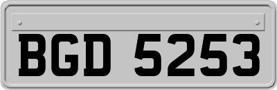BGD5253