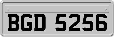 BGD5256