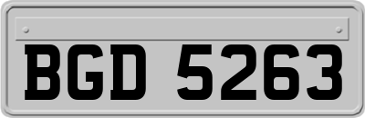 BGD5263