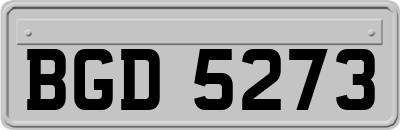 BGD5273