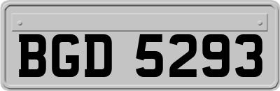 BGD5293