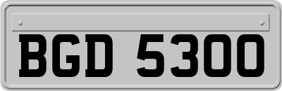BGD5300
