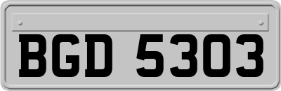 BGD5303