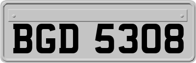 BGD5308