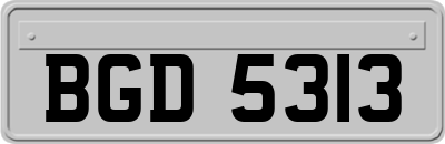 BGD5313